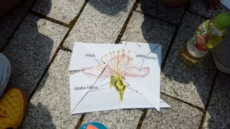 Pozostały tylko wspomnienia – zakończenie wakacji w bibliotece 2019