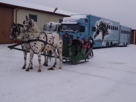 Kulig 2013